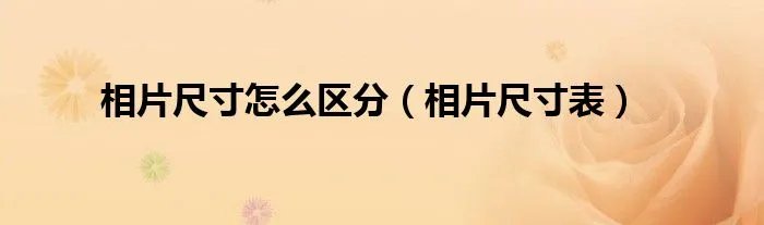 相片尺寸怎么区分（相片尺寸表）