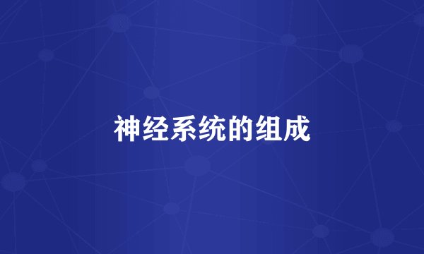 神经系统的组成