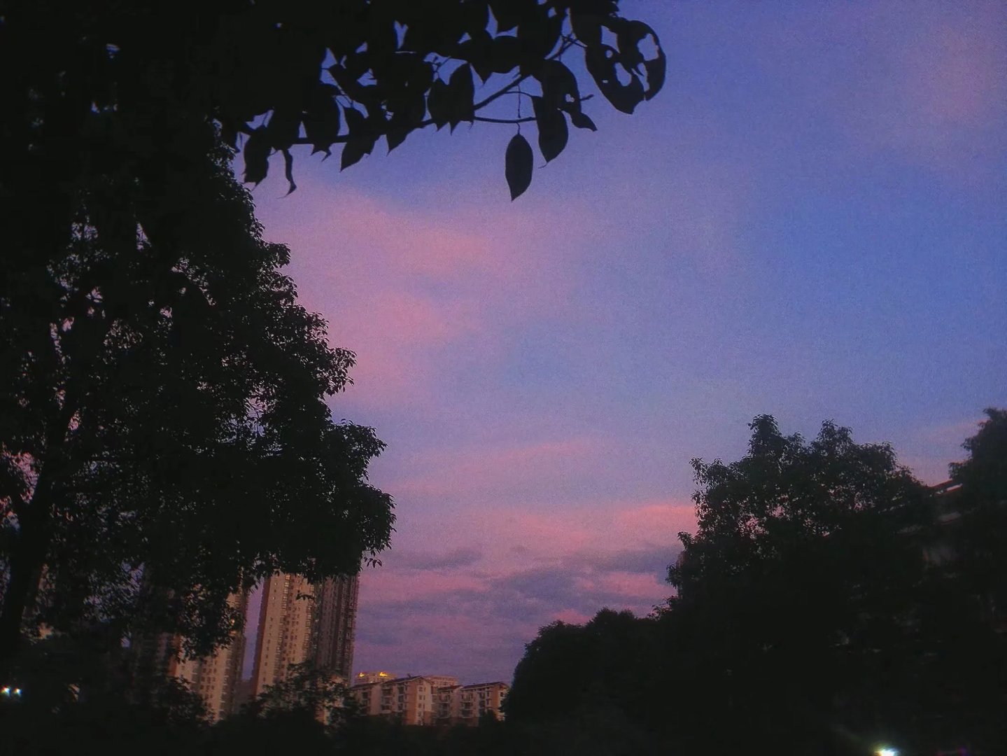 学校的天空