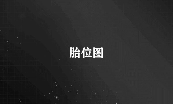 胎位图