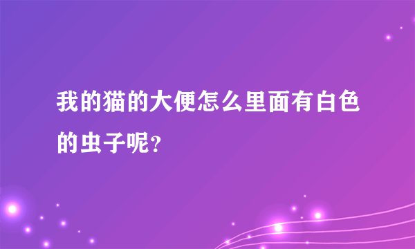 我的猫的大便怎么里面有白色的虫子呢？