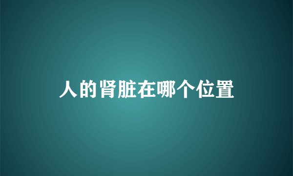 人的肾脏在哪个位置