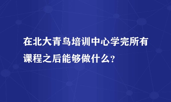 在北大青鸟培训中心学完所有课程之后能够做什么？