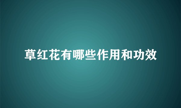 草红花有哪些作用和功效