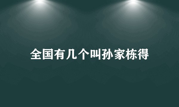 全国有几个叫孙家栋得