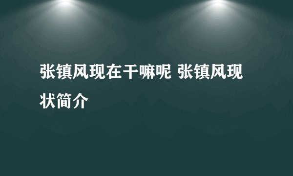 张镇风现在干嘛呢 张镇风现状简介