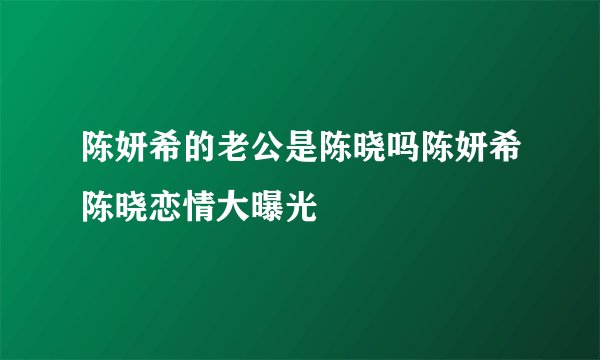 陈妍希的老公是陈晓吗陈妍希陈晓恋情大曝光