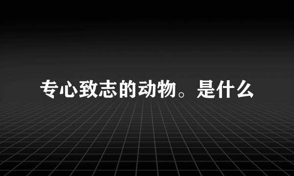 专心致志的动物。是什么