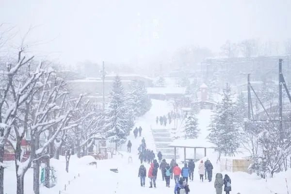 下过大雪过后为什么显得非常寂静？