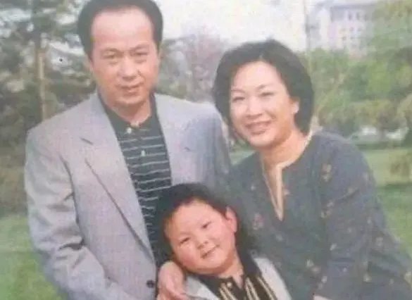 11年前,罗京葬礼上哭晕的刘继红,如今为何转身就嫁给富商?