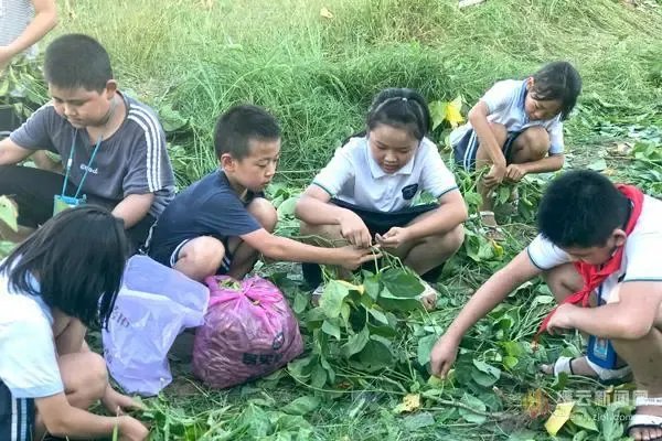 劳动课正式升级成为中小学的独立课程，怎么让创新成为劳动教育的生命力？