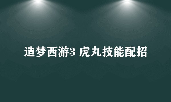 造梦西游3 虎丸技能配招