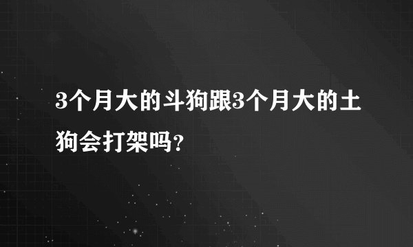3个月大的斗狗跟3个月大的土狗会打架吗？