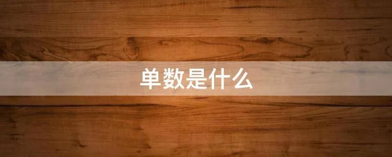 单数是什么