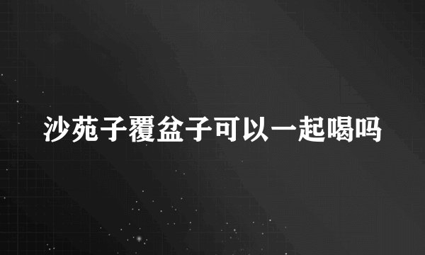 沙苑子覆盆子可以一起喝吗