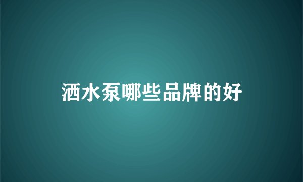 洒水泵哪些品牌的好