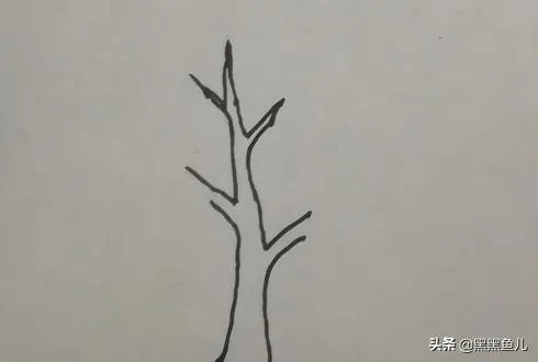 大树的简笔画怎么画？