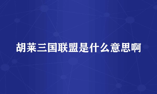 胡莱三国联盟是什么意思啊