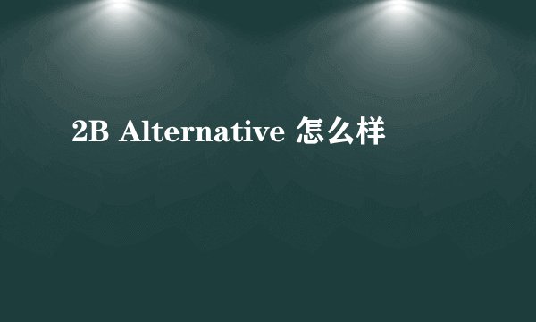 2B Alternative 怎么样