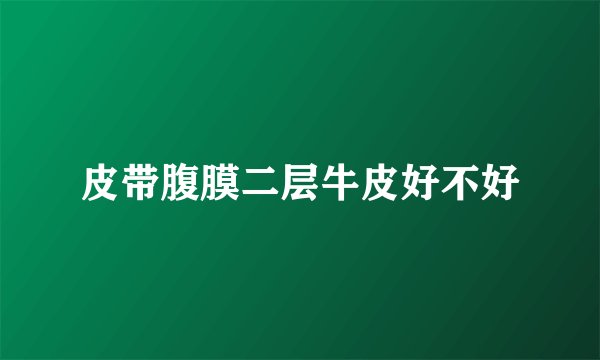 皮带腹膜二层牛皮好不好