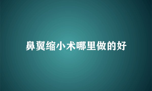 鼻翼缩小术哪里做的好