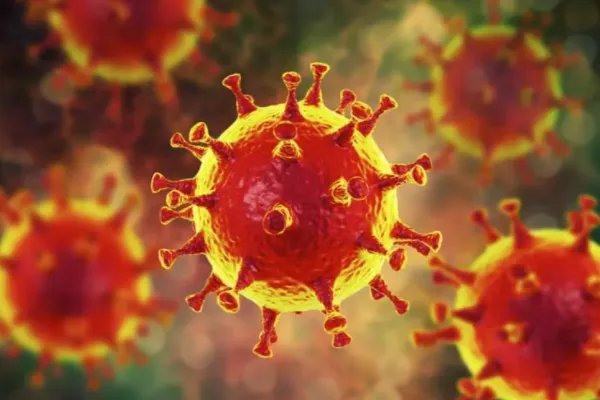 新冠病毒出现了新变种XE,国内出现了吗?加强针还有用吗?