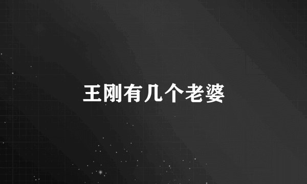 王刚有几个老婆