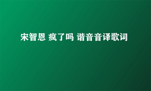 宋智恩 疯了吗 谐音音译歌词
