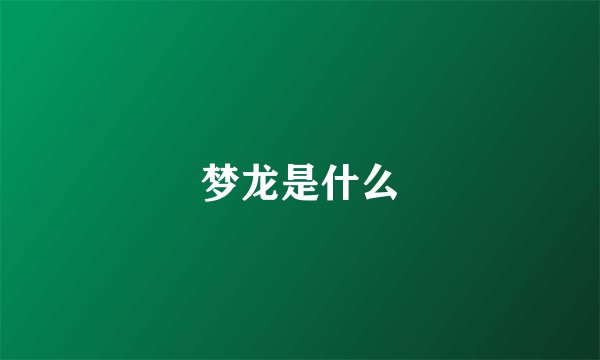 梦龙是什么