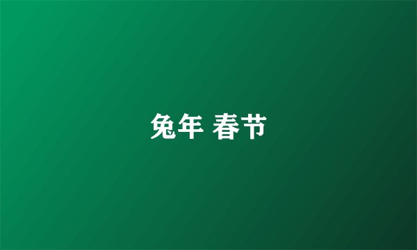 兔年 春节