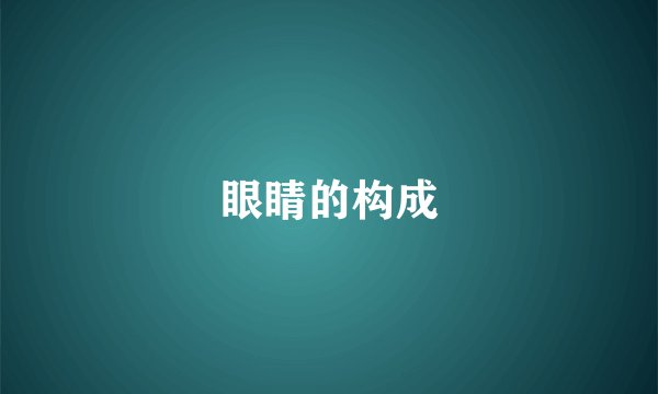 眼睛的构成