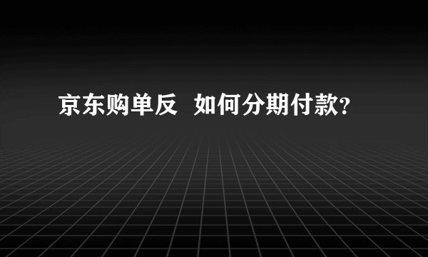京东购单反  如何分期付款？