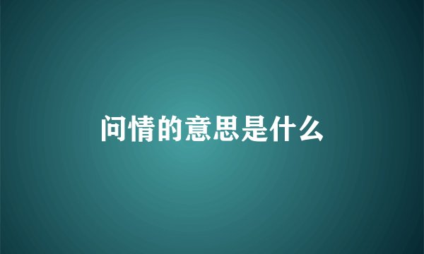 问情的意思是什么