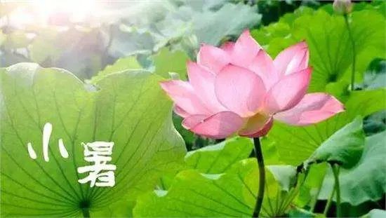 小暑吃什么传统食物,小暑吃什么水果