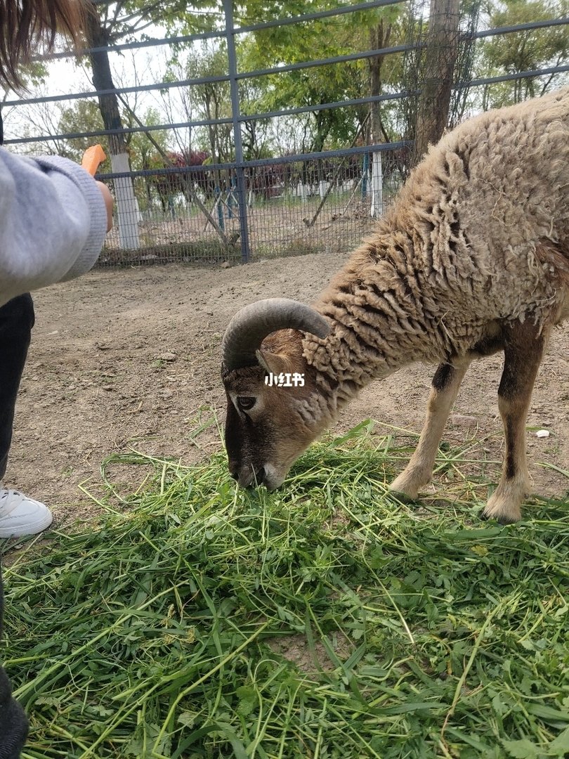 土壤的准备