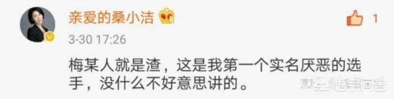 《最强大脑》制片人桑洁是一个什么样的人?