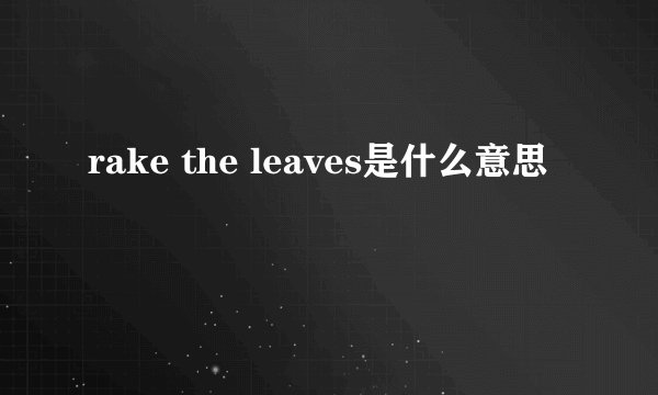 rake the leaves是什么意思