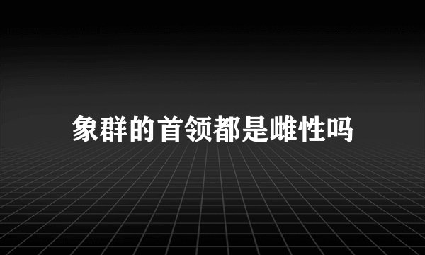象群的首领都是雌性吗