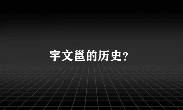 宇文邕的历史？