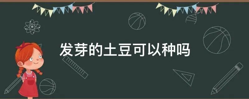 发芽的土豆可以种吗