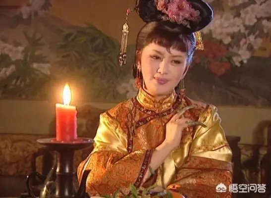 康熙王朝是一部什么样的电视剧