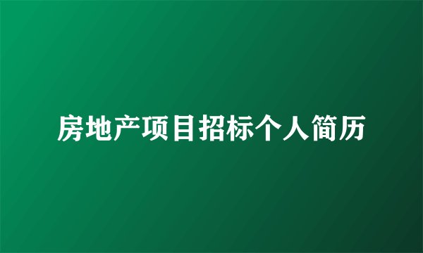 房地产项目招标个人简历