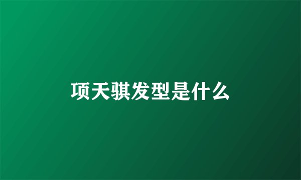 项天骐发型是什么