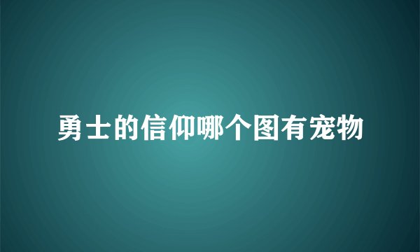 勇士的信仰哪个图有宠物