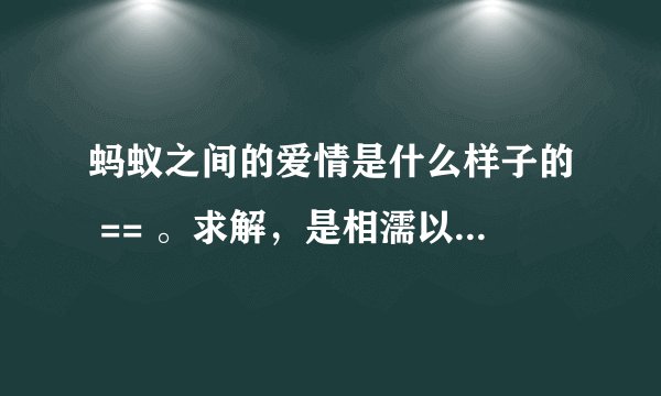 蚂蚁之间的爱情是什么样子的 == 。求解,是相濡以沫的吗 -0-