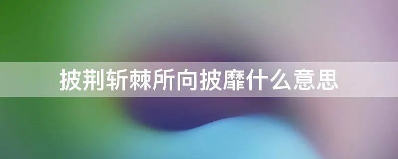 披荆斩棘所向披靡什么意思