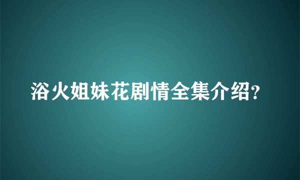 浴火姐妹花剧情全集介绍？