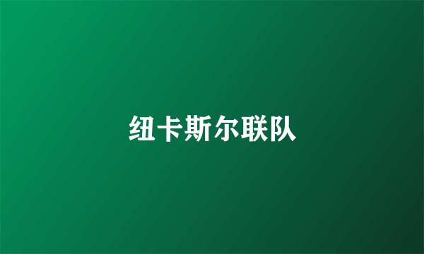 纽卡斯尔联队