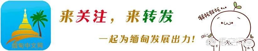 为什么有人说巴西总统比韩国总统更难当？你怎么看？