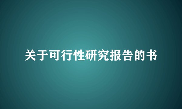 关于可行性研究报告的书